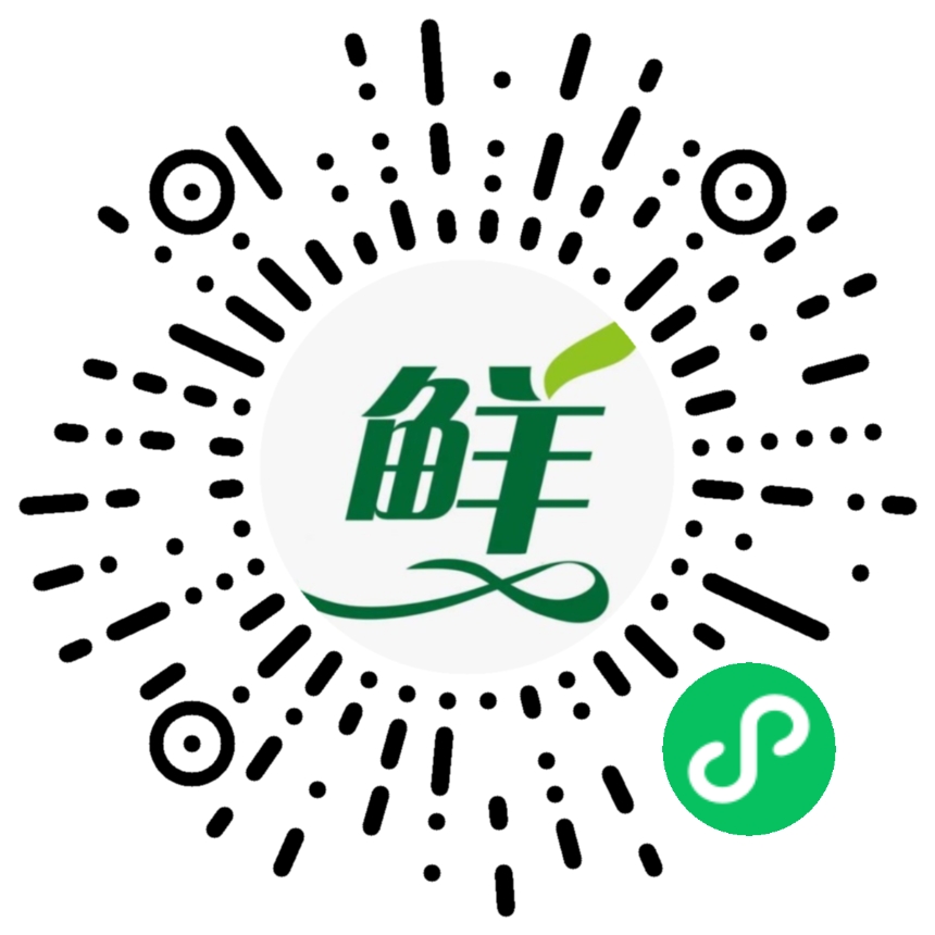 风车车DEMO站点ShopXO插件开发整站开发酒店预订系统收银台拼团砍价大转盘营销工具